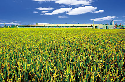 2016年3月投资成立上海松林米业有限公司